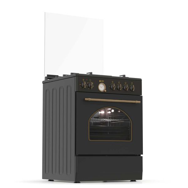 MIXED COOKER TGS 4310 ANTH TURBO  3