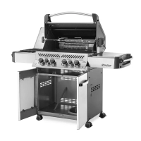 Prestige 500 Stainless Steel Natural Gas3
