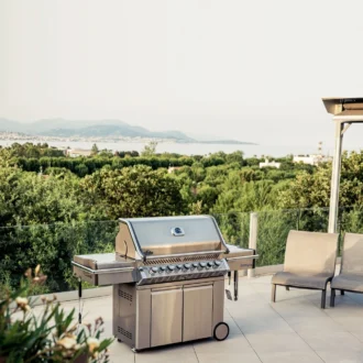 Napoleon Prestige PRO 665 Stainless Steel 31