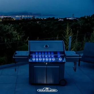 Napoleon Prestige PRO 665 Stainless Steel 32