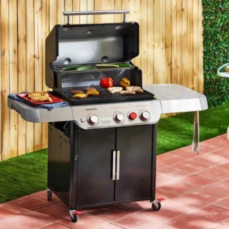 Genesis E 325s Weber 12