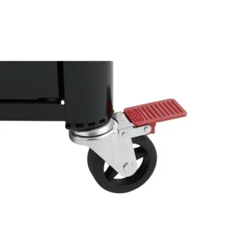 Genesis E 325s Weber 9