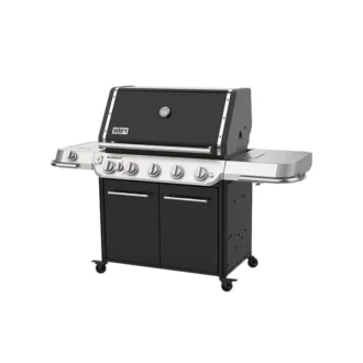 prod weber 1500503 02