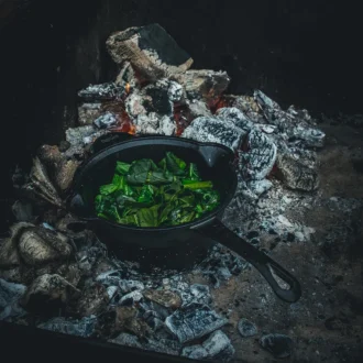 TWM052 New Saucepan 07@0,3x