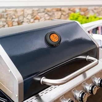 Ψηφιακό Θερμόμετρο Ψησταριάς AT