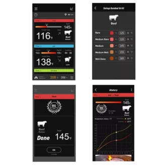 Ψηφιακό Θερμόμετρο Ψησταριάς AT