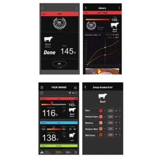 Ψηφιακό Θερμόμετρο Ψησταριάς AT