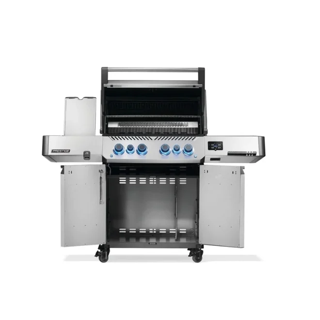P500VXRSIBPSS GR 3