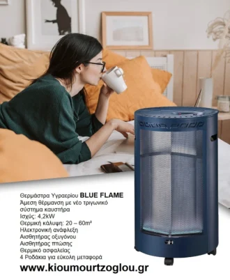 Σόμπα υγραερίου BLUE FLAME TG 4200 BF