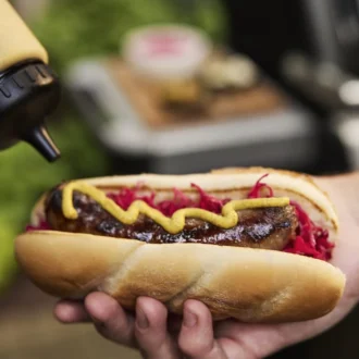 Ψησταριά Υγραερίου Spirit E-310 Weber