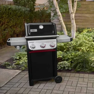 prod Weber 1500915 05 800.jpg