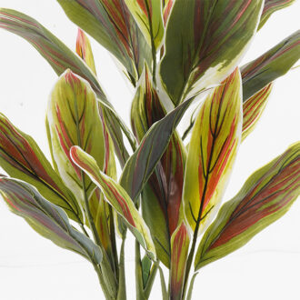 Alternative view of Διακοσμητικό φυτό σε γλάστρα Cycas Inart πράσινο Φ55x80εκ