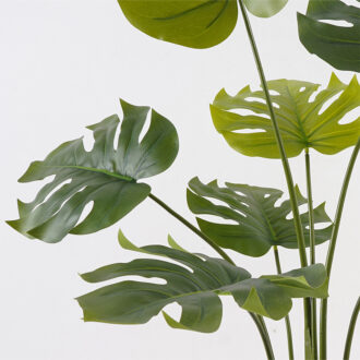 Alternative view of Διακοσμητικό φυτό σε γλάστρα Deliciosa Inart πράσινο Φ94x120εκ