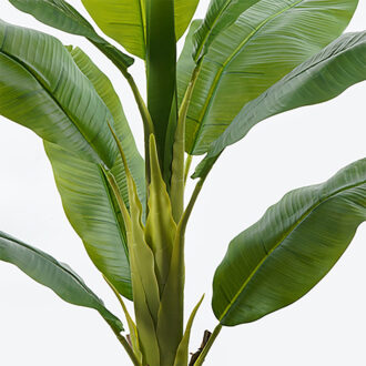 Alternative view of Διακοσμητικό φυτό σε γλάστρα Banono Inart πράσινο Φ95x160εκ