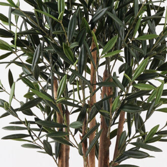 Alternative view of Διακοσμητικό φυτό σε γλάστρα Olia Inart πράσινο Φ52x120εκ