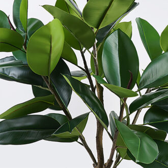 Alternative view of Διακοσμητικό φυτό σε γλάστρα Ficus Lyrata Inart πράσινο Φ70x130εκ