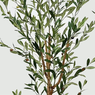 Alternative view of Διακοσμητικό φυτό σε γλάστρα Olia Inart πράσινο 65x55x180εκ