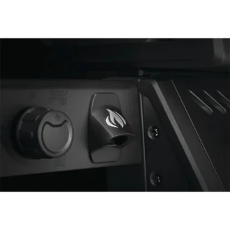 FP425DSIBPK 1 GR PHM 11