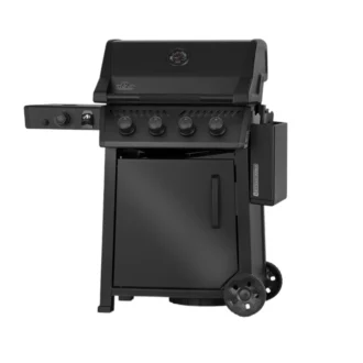 FP425DSIBPK 1 GR PHM 3