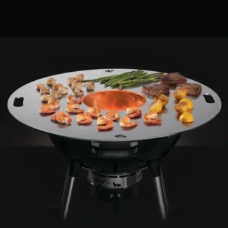 Fire Plate Napoleon 56099 3