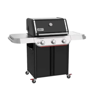 GenesisΕ 315WeberWorks3