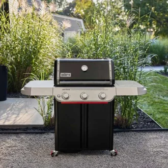 GenesisΕ 315WeberWorks5